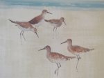 Sandpipers1
